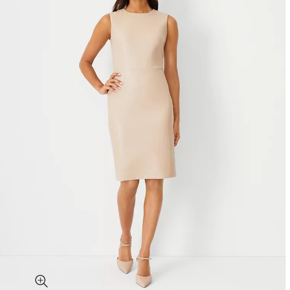 Ann Taylor Faux Leather Dress